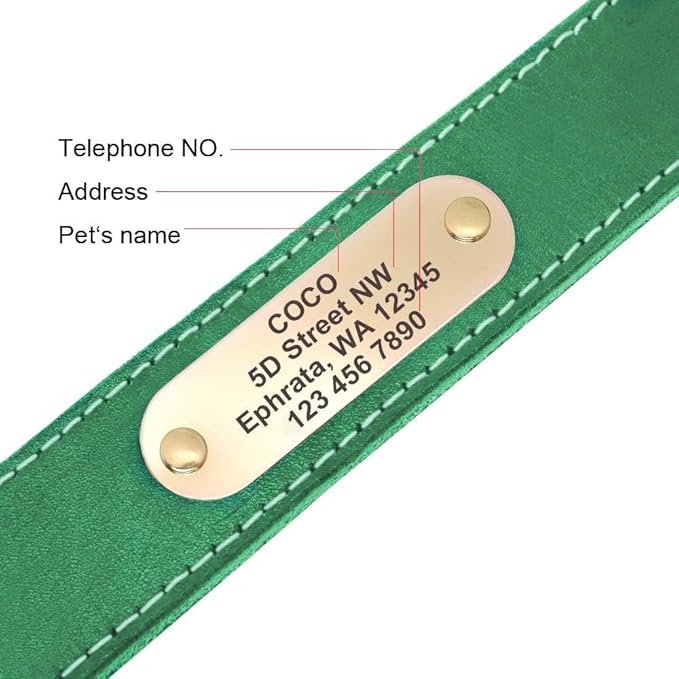 Didog Genuine Leather Dog Collars with Engraved Nameplate, Personalized Soft Leather Dog Collar with Custom ID Tag, Brown/Green/Red for Small Dogs (S,Green)