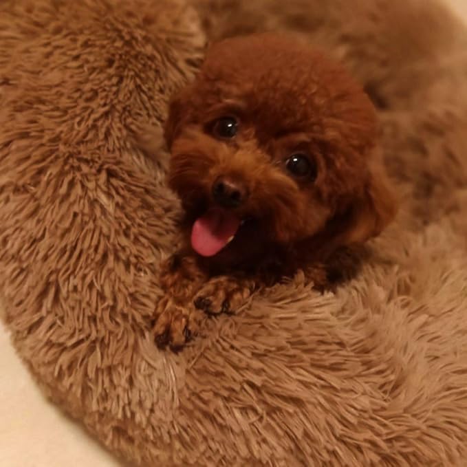 BODISEINT Faux Fur Dog Bed Cat Bed,Shag Round Anti-Anxiety Pet Calming Bed Doughnut Cuddler for Medium Large Puppy Dog Cat Kennel Cushion Self Warming Bed (28'' D x 8'' H, Coffee)