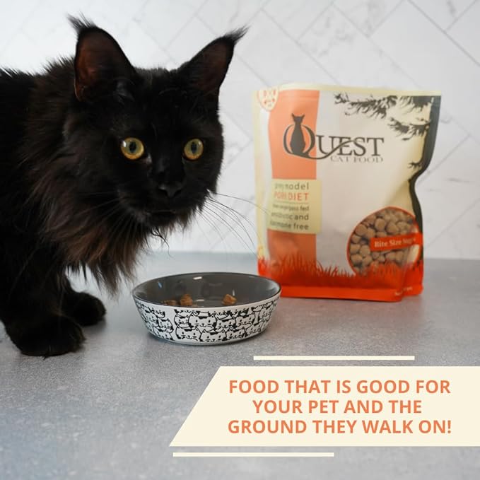 Quest Cat Food Freeze-Dried Raw Bite-Sized Nuggets - Pork Recipe - Raw Food for Cats - 10 oz