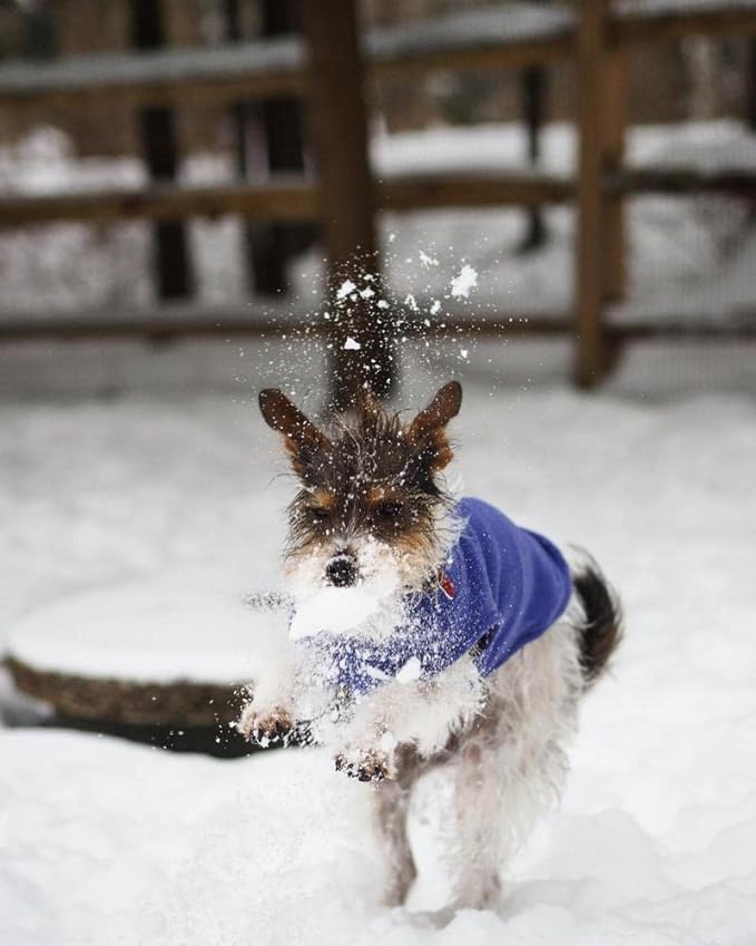 Gooby - Stretch Fleece Vest, Pullover Fleece Vest Jacket Sweater for Dogs, Violet, X-Large Length (16")