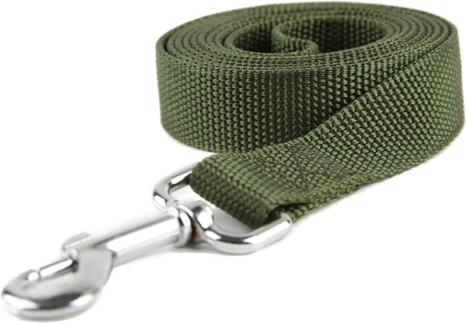 Nylon Dog Training Leash, Traction Rope, 4Ft /5 Foot /6 Feet Long, 5/8 inch 3/4 Inch 1 Inch Wide, for Small and Medium Dogs (1'' x 12 FT, Green)