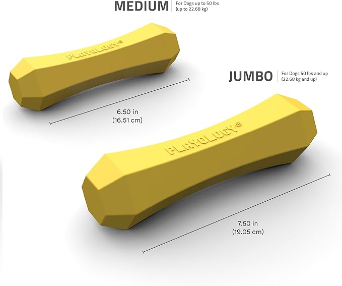 Playology Dog Toys | Durable Squeaky Chew Stick for Dogs | Medium Apple Cider Scented Toy - Limited Edition Fall Collection | Easy to Clean and Made from Non Toxic Materials