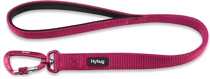 Hyhug Pets 24” Nylon Sturdy Short Leash with Neoprene Soft Handle and Lightweight Aviation Aluminium Clip Lead- for Large Medium Dogs Daily Walking and Training. (24 Inches, Rose Red)