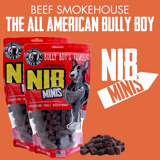 Bully Boy's Famous Mini Beef Training Nibs Dog Treats | Free from Wheat, Corn, Soy, or Gluten | USA Sourced Ingredients | with Smokehouse Beef | Made in Utah | 15 oz - 2 Pack