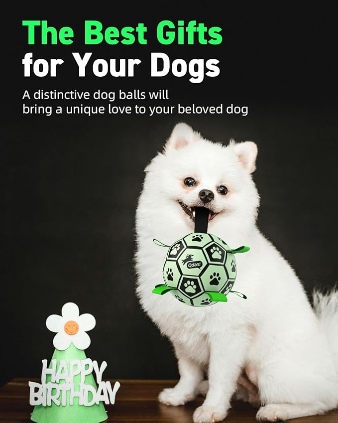 QDAN Dog Ball, Glow in The Dark Dog Toys, Light Up Soccer Ball for Dogs, Outdoor Dog Toys, Doggy Water Toy, Puppy Birthday Gifts for Medium Large (8 Inch)