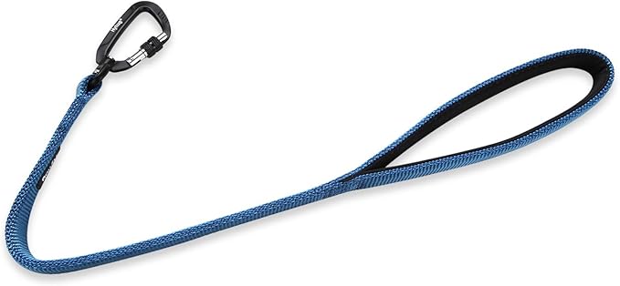 Hyhug Pets 24” Heavy Duty Nylon Short Leash with Comfortable Handle and Lightweight Aviation Aluminium Clip Lead- for Large Medium Dogs Daily Walking&Training. (24 Inches, Classic Blue)