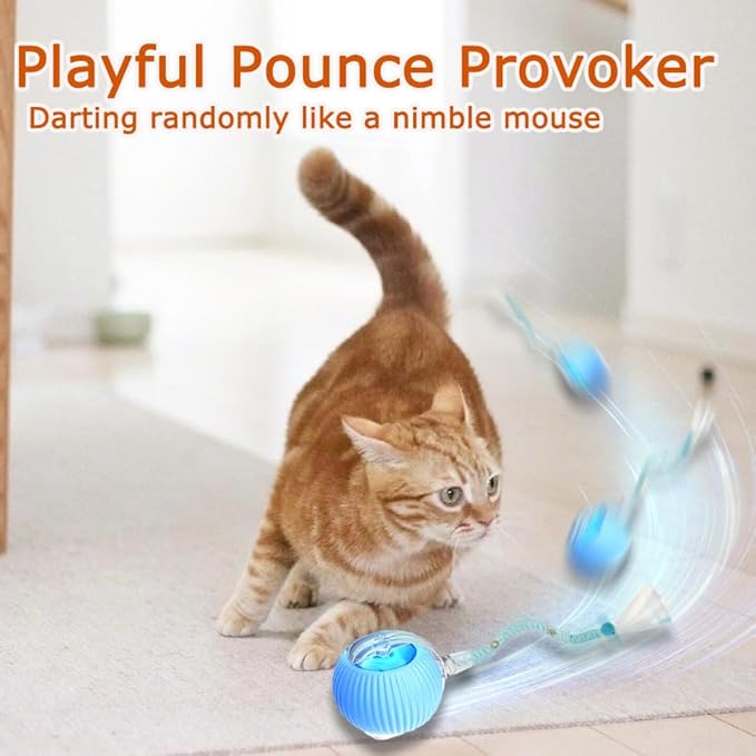 2 Pcs Interactive Cat Toys for Indoor Cats,Kitten Toys with Chirping & Motion Activate,Interactive Cat Toy for Bored Indoor Adult Cats,Red and Blue