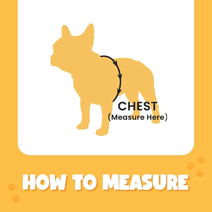 Bark Appeal Blue Hibiscus No-Pull Dog Harness for Large to Extra Large Sized Pets – Adjustable, Reflective Vest with 3 Leash Clips for Added Control, Easy Walks & Training – XL