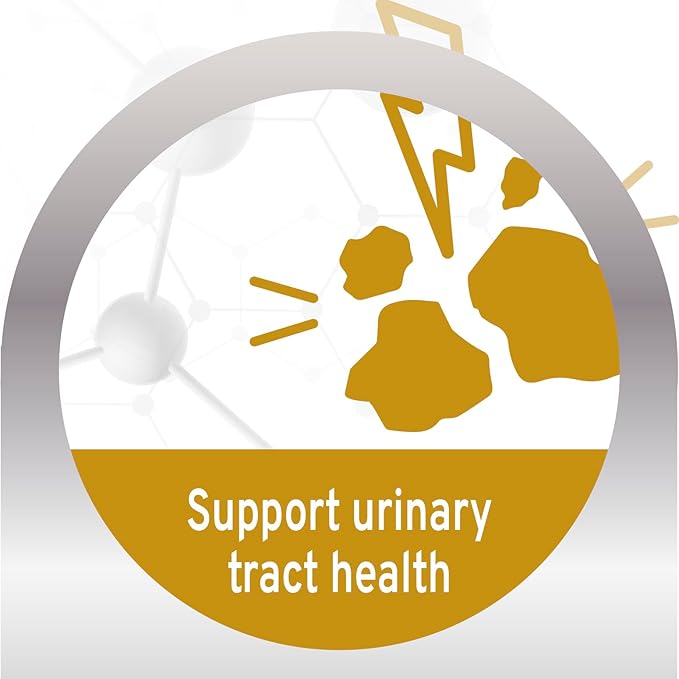 Forza10 - Cat Food, Actiwet Dermo Wet Cat Food, Non GMO, Vet-Approved for Sensitive Stomach and Skin with Support for Feline Dermatitis, Salmon Flavor, Made in Italy (3.5 oz, 32 Pack)