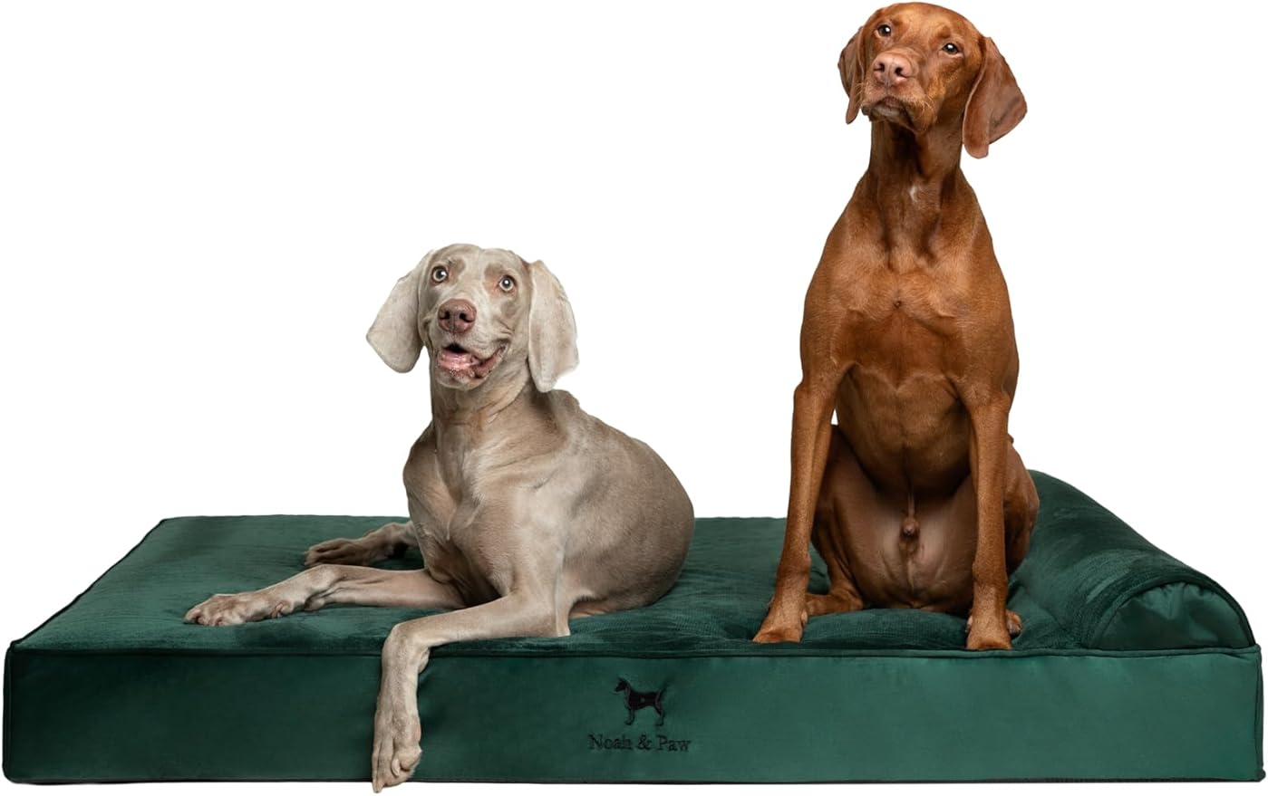 NOAH & PAW Giant Dog Bed XXL 55x45x9.5 Inch, Orthopedic Dog Beds, Eggshell Memory Foam Infused with Cooling Gel, Waterproof, Machine Washable, Includes Inner Cover (Velvet Collection)