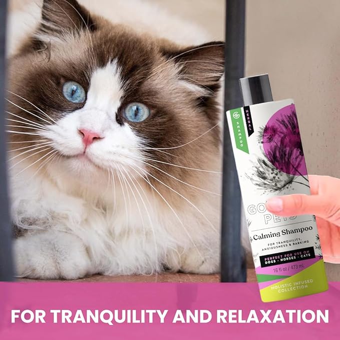 Holistic Natural Derived Calming Pet Shampoo for Anxiety: Veterinarian Recommended: Providing Stress Relief for Dogs, Cats and Horses - Made in USA - 16 oz