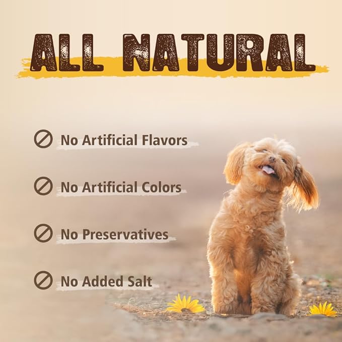 Gootoe Soft Turkey Tendon Stirip with Pumpkin 1 lb, Natural Chewy Snack, USA-Sourced Turkey Tendon, Premium Training Chew, Reseal Value Bag, Ideal for Small & Senior Dogs, Jumbo Pack