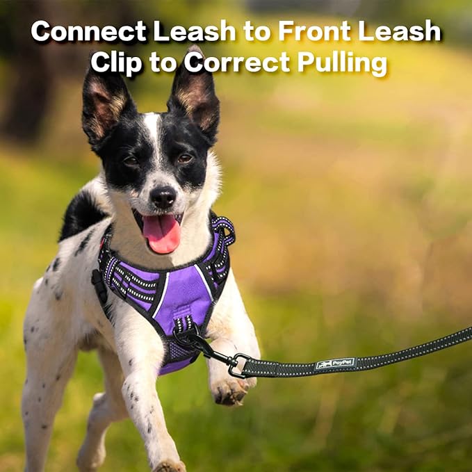 PoyPet No Pull Dog Harness, No Choke Front Clip Reflective Dog Vest with Soft Padded Vertical Handle, 3 Leash Attachments for Small Medium Large Dogs (Purple,M)