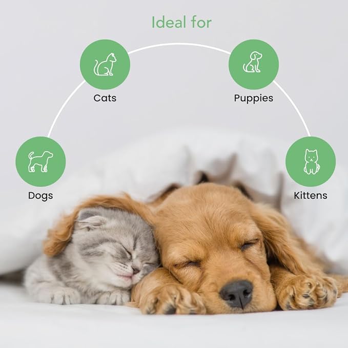 Best Shot Pet Scentament Spa Seasonal Facial & Body Wash, Berry Amaretto, 16 oz (S55-16oz)