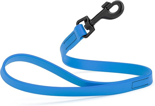 Dogline Biothane Waterproof Dog Leash Strong Coated Nylon Webbing with Black Hardware Odor-Proof Easy to Clean High Performance for Small or Large Dogs Made in USA 2 ft Lead, Cerulean Blue