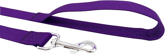 TAIDA Strong Nylon 16 Feet Long Dog Leash, 16 Foot Dog Leashes for Medium Large Dogs, 1 Inch Wide