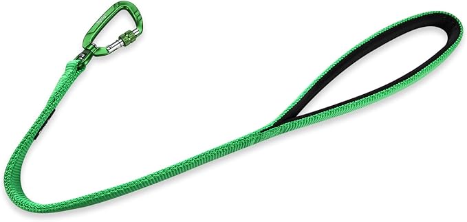 Hyhug Pets 24 Inches Heavy Duty Short Leash with Soft Handle and Lightweight Aviation Aluminium Clip Lead- for Large Medium Dogs Daily Necessities. (24 Inches, Lime Green)