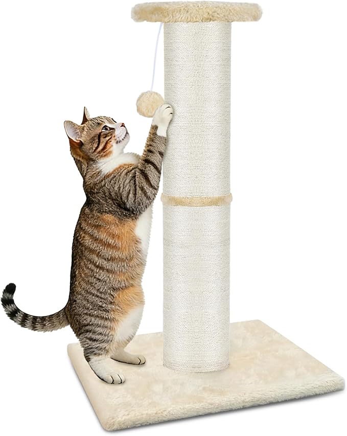 PAWSCRAT Cat Scratching Post 32" Tall, Large Diameter Natural Sisal Cat Scratch Post with Dangling Ball, Scratch-Resistant and Durable Tall Cat Scratcher for Indoor Cats, Protect Your Furniture, Beige