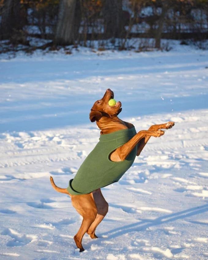 Gooby Stretch Fleece Vest Dog Sweater - Gray, 5X-Large - Warm Pullover Super Stretchy Fleece Dog Jacket for Small to Large Dogs