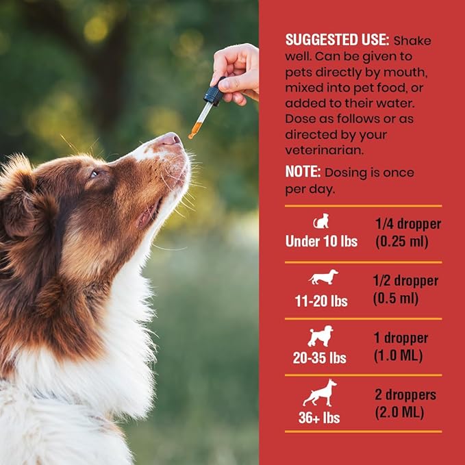 8 Ounce Urinary Tract Infection Treatment for Cats and Dogs - Graduated Dropper (1/4 ML increments up to 1 ML) Cranberry UTI Supplement, Kidney and Bladder Support, 8 oz