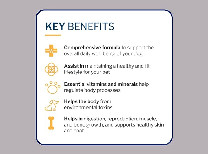 to The Rescue Dog Multivitamin Supplement - Ideal Supplement to Promote Overall Wellness for Dogs of All Breads and Ages - Assist in Maintaining a Healthy and Fit Lifestyle for Your Dog - 60 Chews