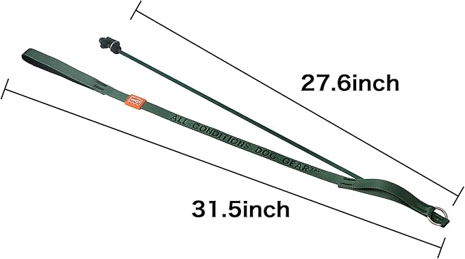 Howgo Dog Slip Lead Dog Leash, Training Lead, No-Pull Slip Leash and Collar, Heavy Duty & Durable Nylon, Padded Handle, for All Breeds (Green, 5FT)