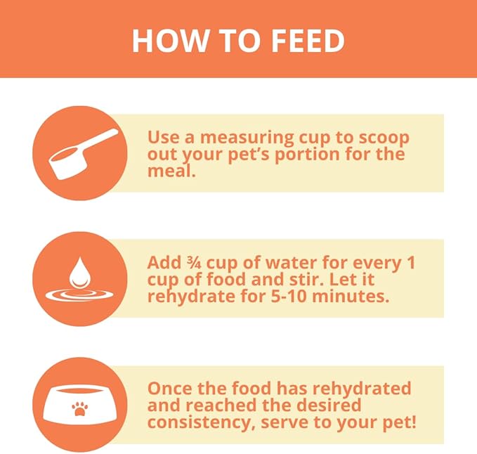 Quest Cat Food Freeze-Dried Raw Bite-Sized Nuggets - Pork Recipe - Raw Food for Cats - 10 oz