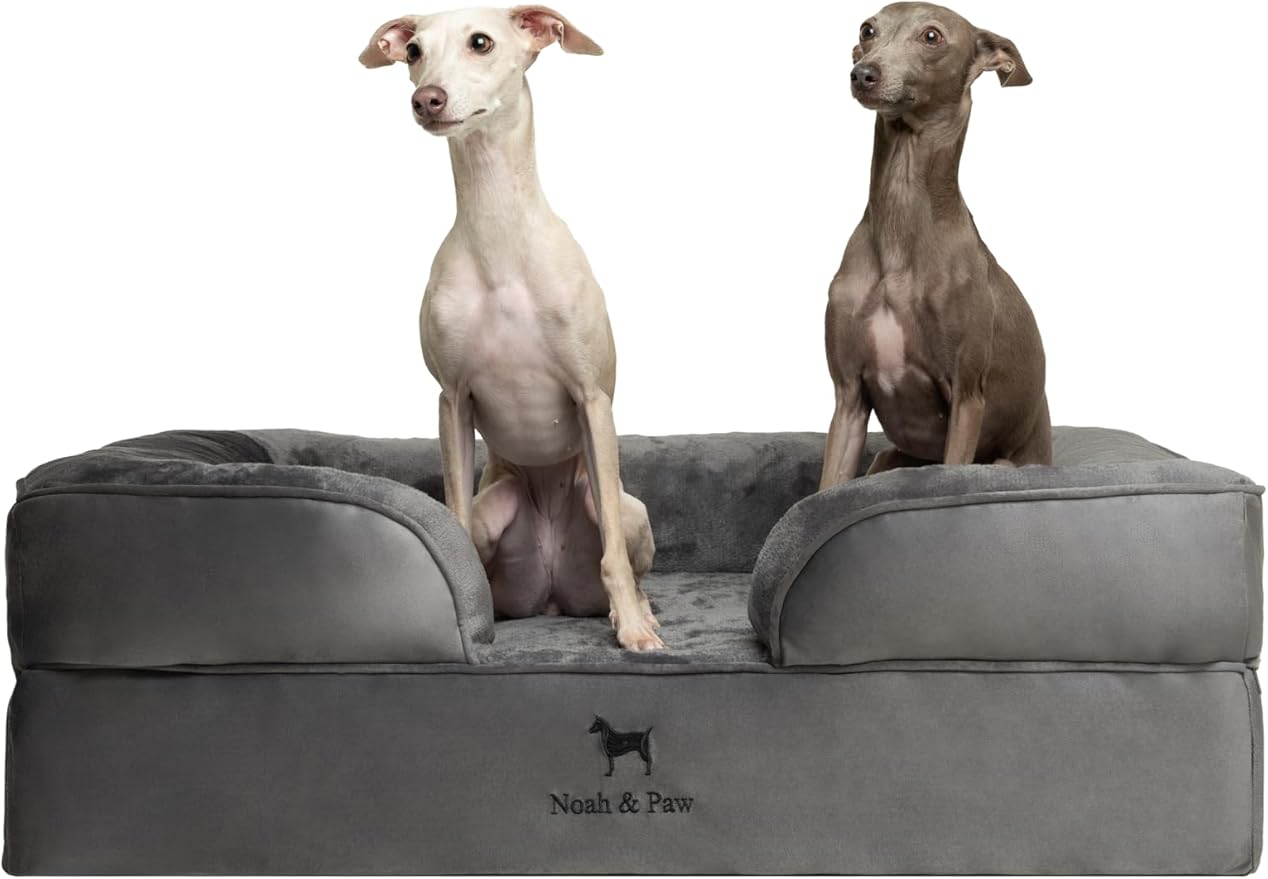 NOAH & PAW Large Dog Bed, 35x25x11 Inch, Orthopedic Dog Beds, Eggshell Memory Foam Infused with Cooling Gel, Inner Cover, Waterproof, Machine Washable (Velvet Sofa Collection)
