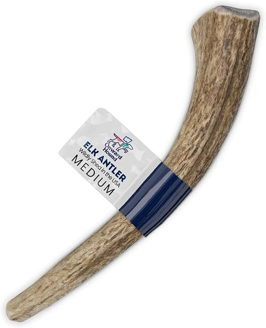 Onward Hound Elk Antlers for Dogs, 6"+ Medium 1-Pack, Grade A Long Lasting Chew for Aggressive Chewers, Premium USA Naturally Shed Antler - Healthy, No Odor, Durable Dog Chew for 15-35lb Breeds