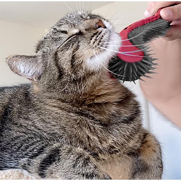 Cat Brush, Black. Designed for Comfort, Created for Results. This innovative grooming brush features multi contoured shapes that gently adapt to your cats body for a stress free grooming.