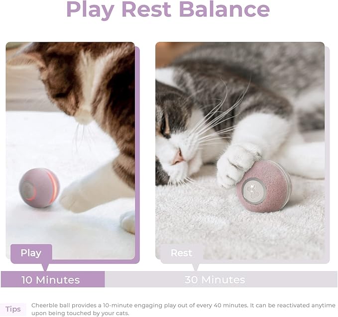 Cheerble Interactive Cat Ball Toy, Automatic Moving Ball Puzzle Toy for Indoor Cat Kitten, Smart Anti-Depression Pet Toy Fun Gift with Light (Purple)