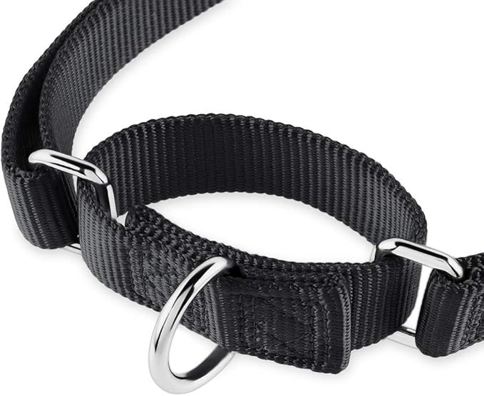 Hyhug Martingale Collar for Dogs Small Black |Escape - Proof Heavy Duty Nylon Durable No Buckle, Ideal for Training & Daily Walks