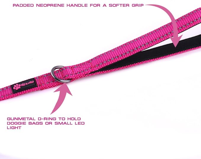 Max and Neo Small Dog Reflective Nylon Leash - Every Purchase Donates One, 4x5/8" (Blue)