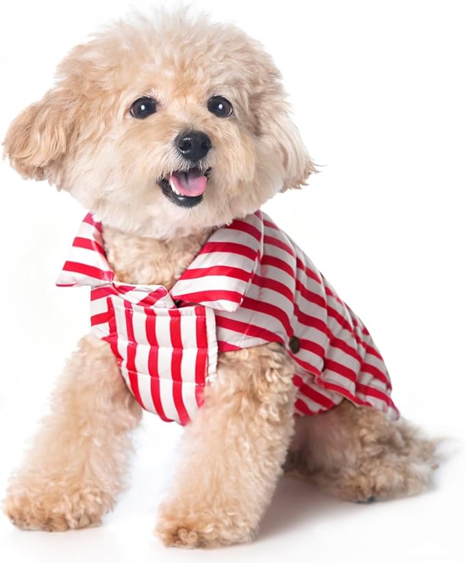 SPACE LION Dog Puffer Jacket, Down Winter Coat, Durable Outdoor Coat for Cold and Windy Conditions, Lightweight & Adjustable Fit Coats for Small & Medium Dogs, (RedStripe, Size 12 Gift Box)