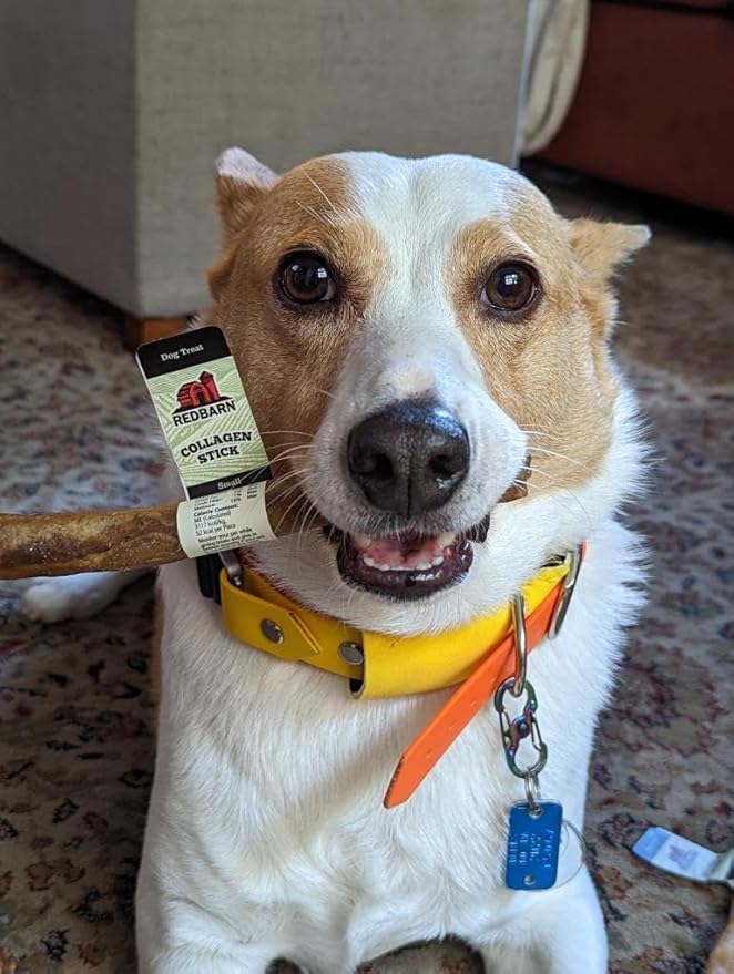 Redbarn Pet Products All-Natural Small 6" Beef Collagen Sticks for Dogs - Long Lasting Low-Odor Alternative to Traditional Rawhide & Bully Sticks - Supports Healthy Joints, Skin, & Coat - 5 Pack