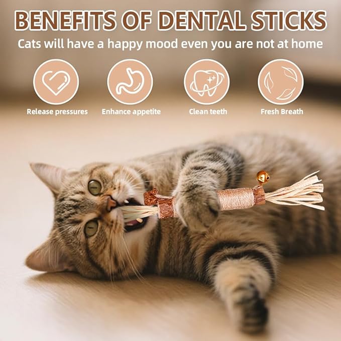 Natural Dried Matatabi Cat Chew Stick with Gall Fruit, Raffia Grass & Bell Cat Ball Toys, Handmade Silvervine Sticks Interactive Catnip Toys for Teething & Entertainment (Size L Color B)