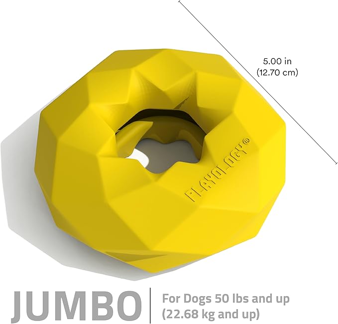 Playology Dog Toys | Channel Chew Ring | Jumbo Chicken Scented Toy - Easy to Clean and Made from Non Toxic Materials