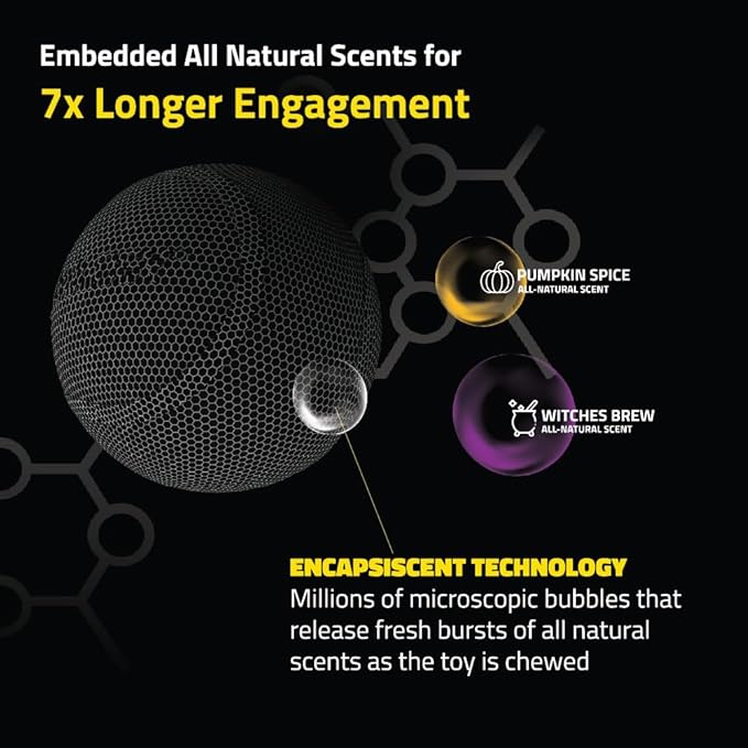 Playology Dog Toys | Squeaky Chew Ball - Bouncy Durable Floating Fetch Ball for Dogs | Medium Pumpkin Spice Scented Toy - Easy to Clean and Made from Non Toxic Materials