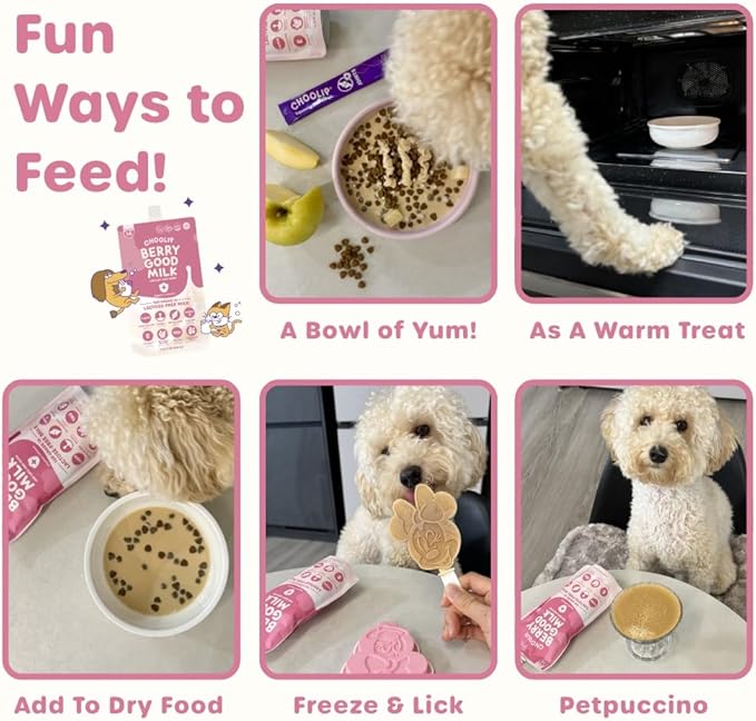 Choolip Berry Good Milk – 10-Pack Lactose-Free Vitamin Milk for Cats & Dogs | Vet-Formulated Pet Drink Supporting Urinary, Joint & Digestive Health | Grain-Free, Ready to Serve