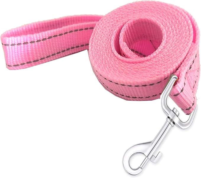 Reflective Dog Leash 4Ft /5 Foot /6 Feet Long, 1 Inch Wide, for Small and Medium Dogs
