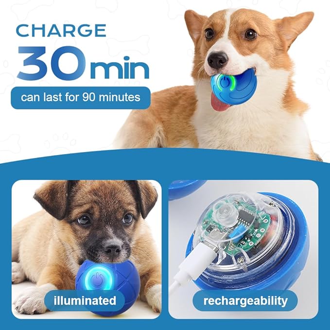 Interactive Dog Ball, 2026 Upgraded Activated Automatic Rolling Balls for Dogs, Self Moving Vibrating Smart Jumping Bouncing and Rotating Pets Toy to Keep Them Busy (New-2PC)