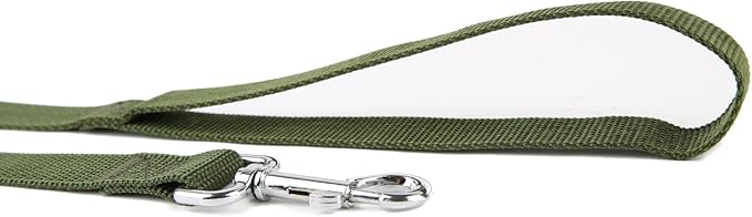 Nylon Dog Training Leash, Traction Rope, 4Ft /5 Foot /6 Feet Long, 5/8 inch 3/4 Inch 1 Inch Wide, for Small and Medium Dogs (1'' x 12 FT, Green)