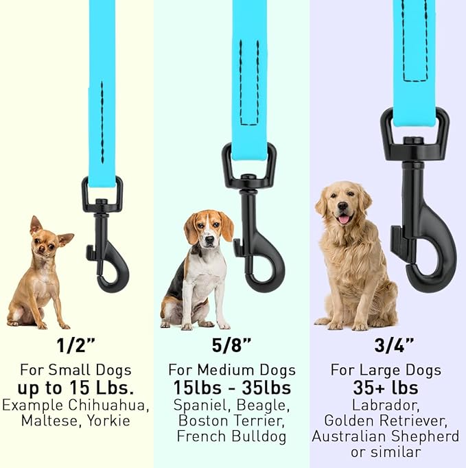 Dogline Biothane Waterproof Dog Leash Strong Coated Nylon Webbing with Black Hardware Odor-Proof Easy to Clean High Performance for Small or Large Dogs Made in USA 4 or 6 ft Lead, Sky Blue