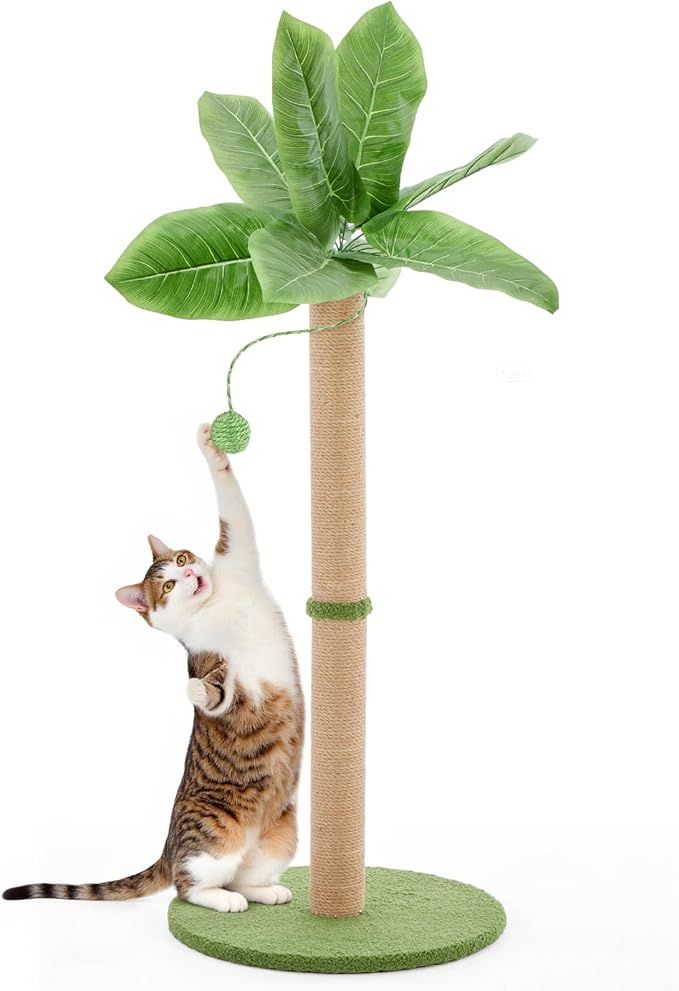 Sweetcrispy 33" Cat Scratching Post for Indoor Cats, Cat Scratcher Scratching Posts with Dangling Ball for Adult, Palm Tree Cat Scratch Post for Kittens, Green