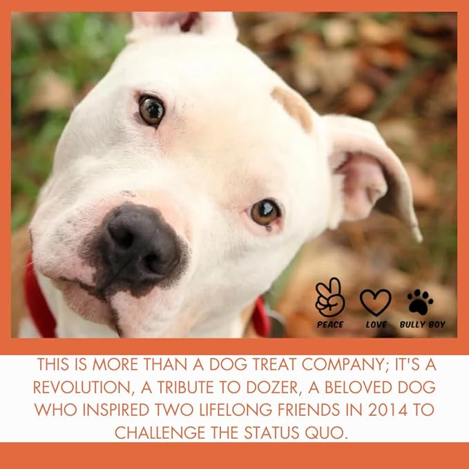 Bully Boy's Famous Chicken Training Nibs Dog Treats | Free from Wheat, Corn, Soy, or Gluten | USA Sourced Ingredients | with Smokehouse Chicken | Made in Utah | 7 oz - 1 Pack