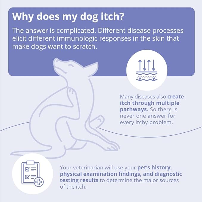 Miconahex+ Triz Spray for Dogs Cats and Horses, 16 oz