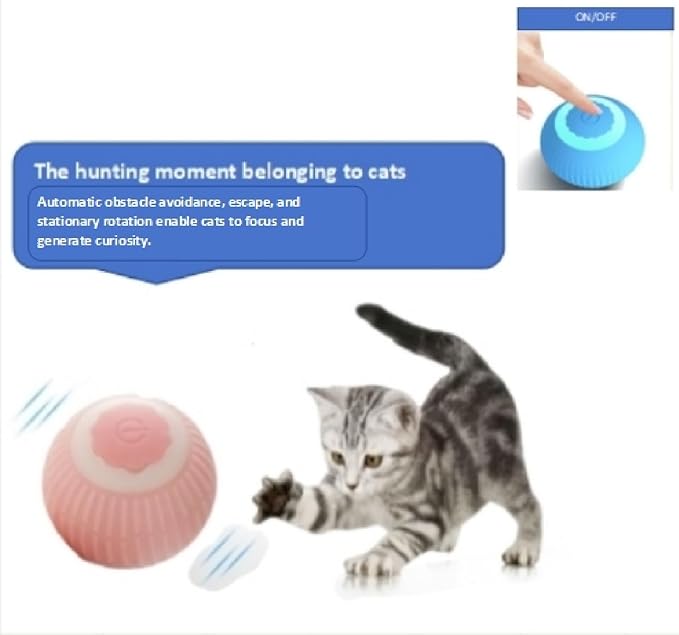 HIPIDOG 2-Pack Cat Ball Toy with Catnip - Interactive Toys for Indoor Cats, Gift Set for Bored Kittens & Adult Cats