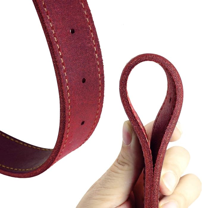 Didog Genuine Leather Dog Collars with Engraved Nameplate, Personalized Soft Leather Dog Collar with Custom ID Tag, Brown/Green/Red for Small Dogs (M,Red)