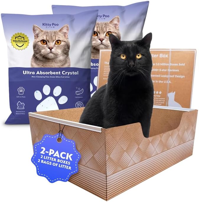 Leakproof Disposable 2-Pack Cat Litter Box with 2 Bags of 6 lbs Litters | Superior Odor Control & Recyclable Design | Perfect for Travel, Multi-Cat Homes & Daily Use — Kitty Poo Club