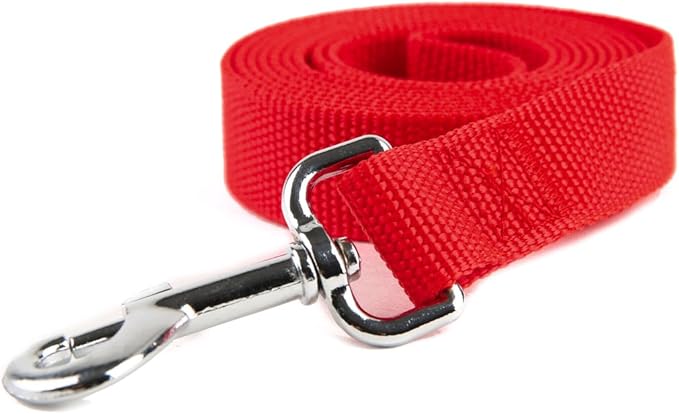 Nylon Dog Training Leash, Traction Rope, 4/5/6 Feet Long, 3/4 Inch 1 Inch Wide, for Small and Medium Dogs (1'' x 5 FT, Red)
